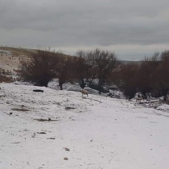 La primera nevada del invierno llegó a Córdoba. Foto: Martin López-Radio Argentina.