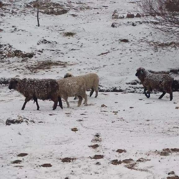 La primera nevada del invierno llegó a Córdoba. Foto: Martin López-Radio Argentina.