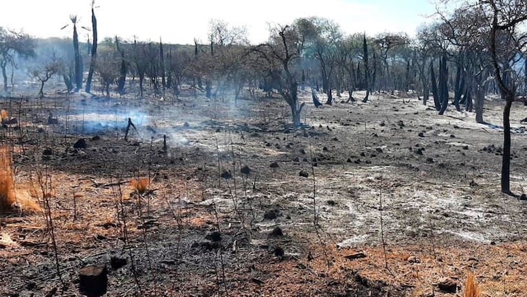 La Provincia informó que está contenido el incendio en la zona de Ascochinga.