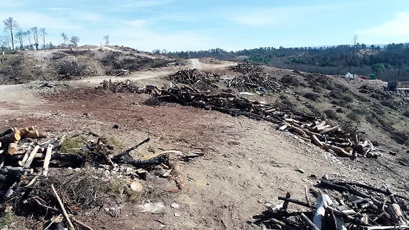 La recuperación está en marcha pero las imágenes siguen siendo desoladoras.