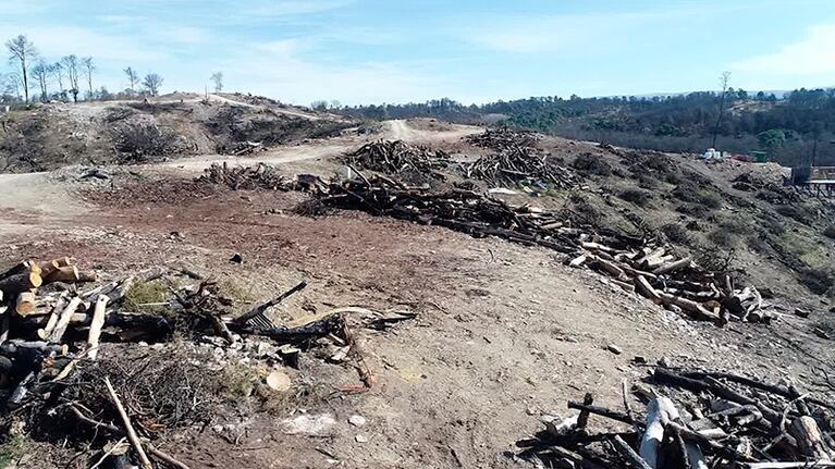 La recuperación está en marcha pero las imágenes siguen siendo desoladoras.
