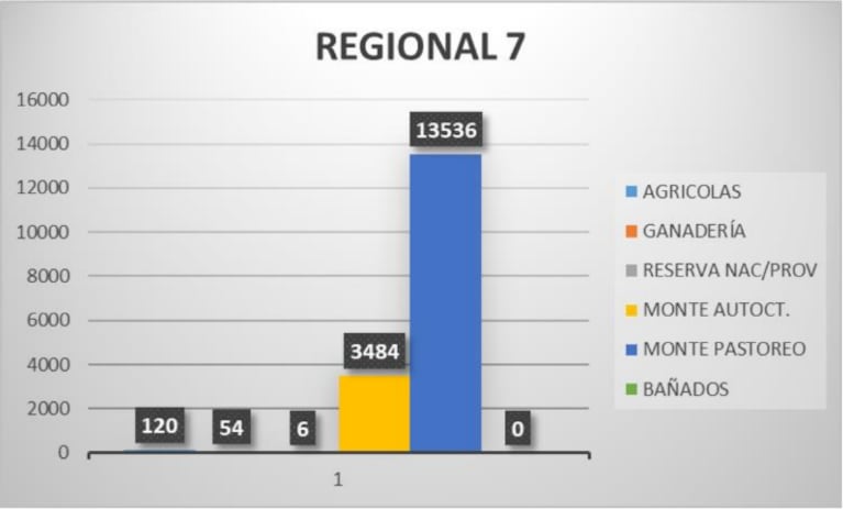 La Regional 7 fue la más afectada por incendios en 2023.