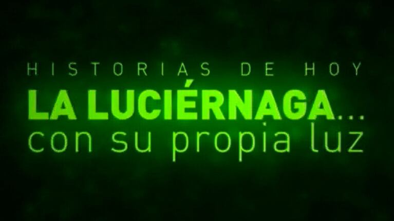 La revista La Luciérnaga cumple 20 años