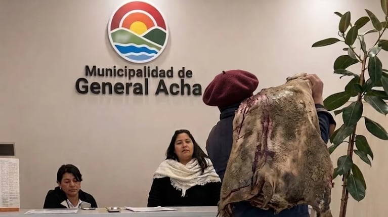 La secuencia llamó la atención de todos y se viralizó en redes.