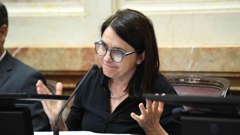 La senadora por Córdoba, Carmen Álvarez Rivero. (Foto: Senado de la Nación)