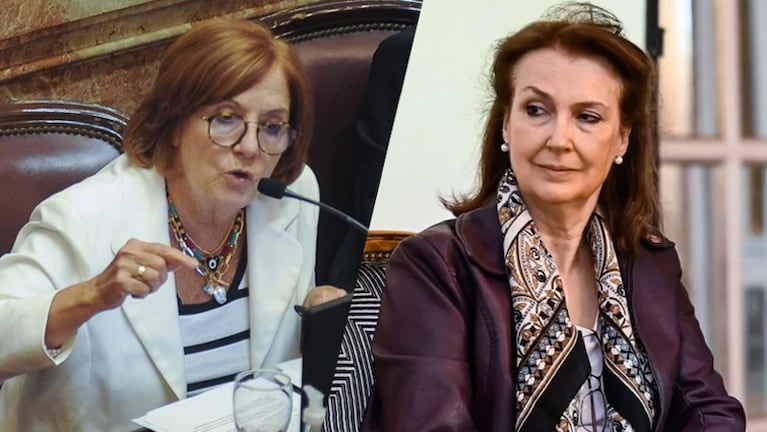 La senadora Vigo apuntó contra Mondino por la cuestión Malvinas.