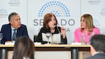 La senadora Vigo dio detalles del proyecto en el Senado.