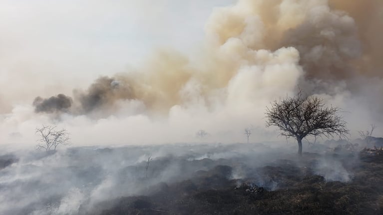 La sequía agrava el problema de los incendios en Córdoba.