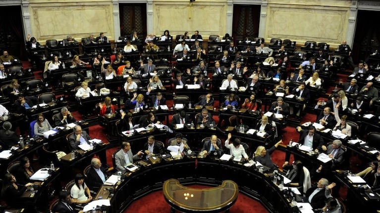 La sesión en Diputados fue caótica. Fotos: Diario Clarín.