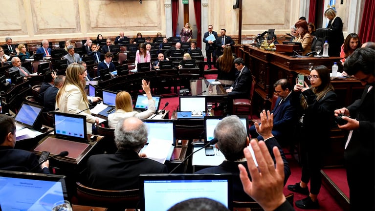 La sesión en la cámara de senadores fue presidida por Cristina Kirchner.