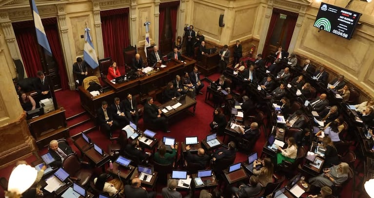 La sesión fue presidida por el titular provisional de la Cámara alta, Bartolomé Abdala.