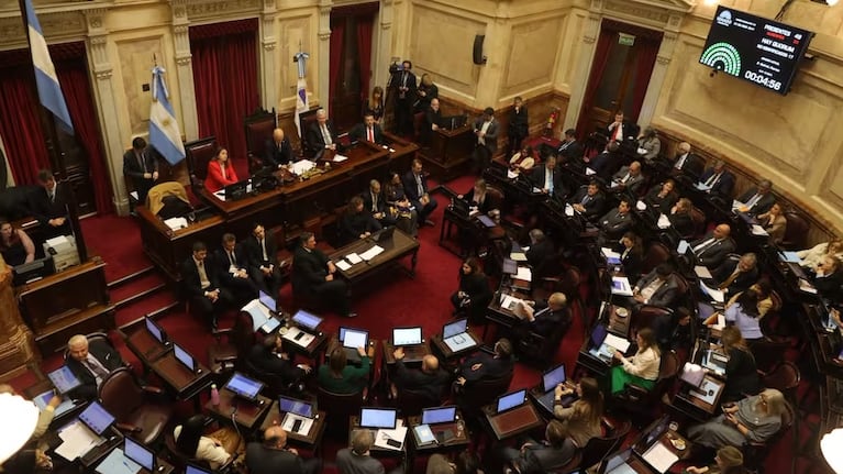 La sesión fue presidida por el titular provisional de la Cámara alta, Bartolomé Abdala.