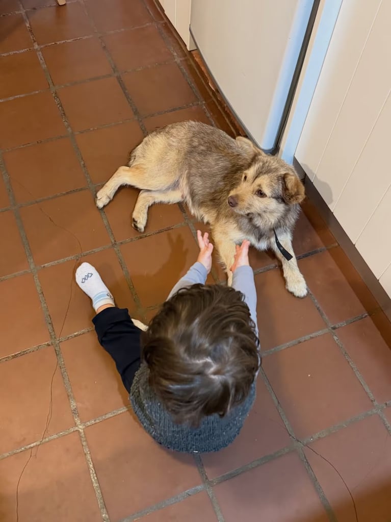 La sorpresa de Jimena Barón con su nueva perra, Lucy.