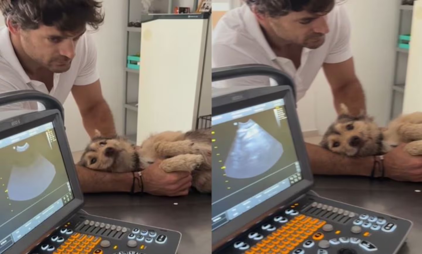 La sorpresa de Jimena Barón con su nueva perra, Lucy.