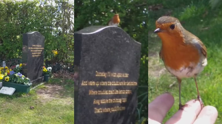 La sorpresa de su hijo muerto.