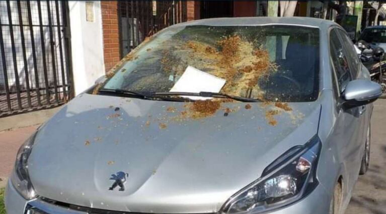 La sorpresa que se llevó el dueño de un auto que estacionó en la puerta de un garaje