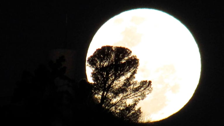 La superluna brilló en Córdoba.