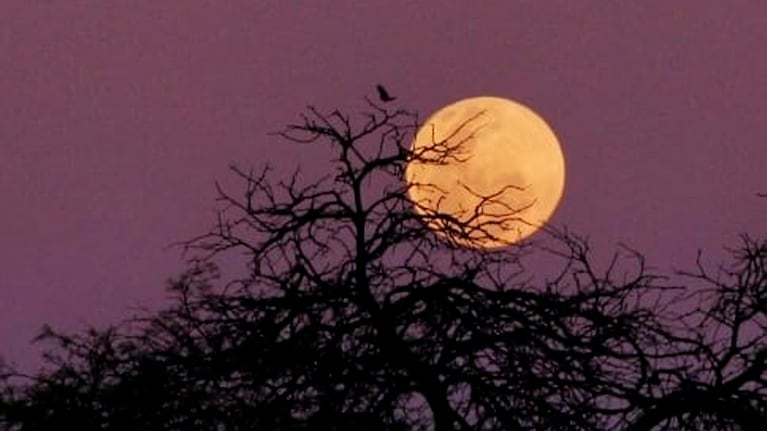 La superluna observada en la zona de Sampacho, en el sur de Córdoba.
