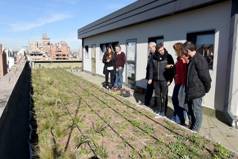 La terraza verde del Palacio 6 de Julio sumará paneles solares