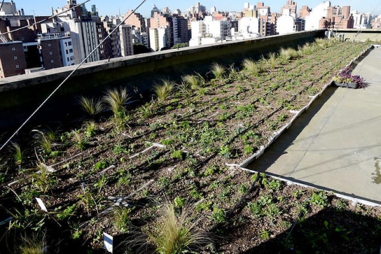 La terraza verde del Palacio 6 de Julio sumará paneles solares