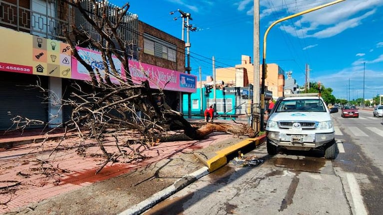 La tormenta causó voladura de techos, caída de árboles y postes y cortes en Costanera