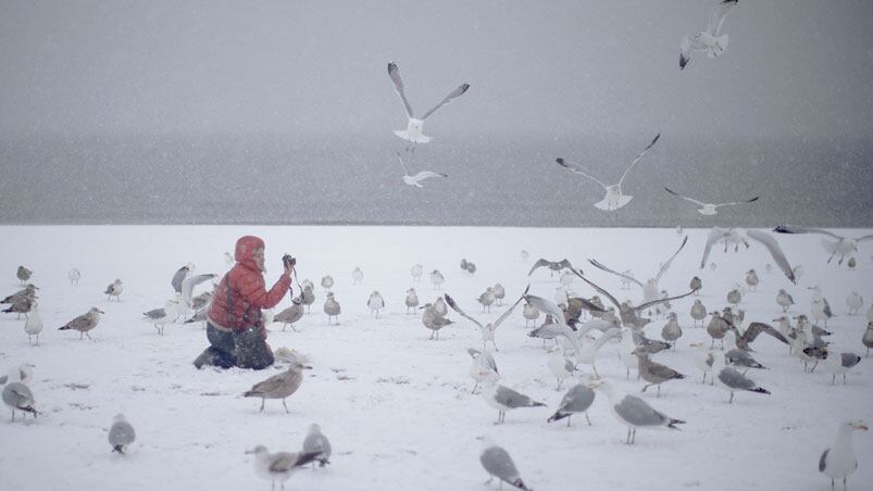 La tormenta de nieve Stella pone a la "Manzana de la luces" en emergencia.