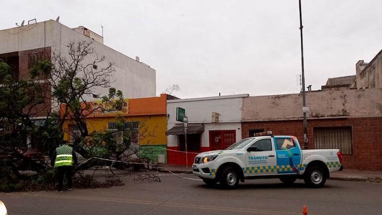 La tormenta de viento causó voladura de techos, caída de árboles y cortes de luz