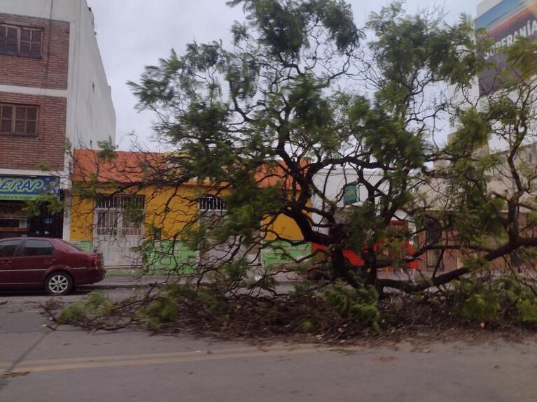 La tormenta de viento causó voladura de techos, caída de árboles y cortes de luz