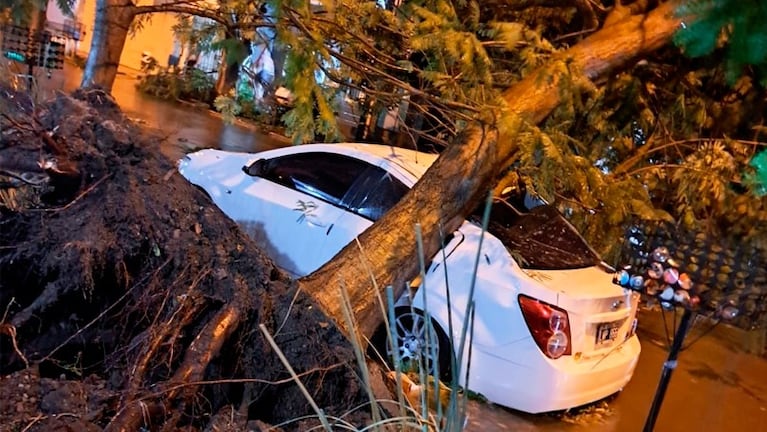 La tormenta provocó destrozos en la zona de San Francisco.