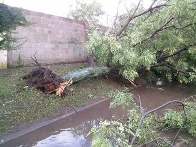 La tormenta provocó destrozos y  heridos en Río Cuarto