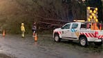 La tormenta provocó la caída de árboles en distintas partes. Foto: FM Identidad Sampacho.