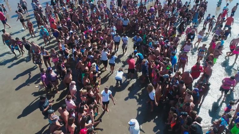 La tortuga marina que defecó plásticos pudo regresar al mar