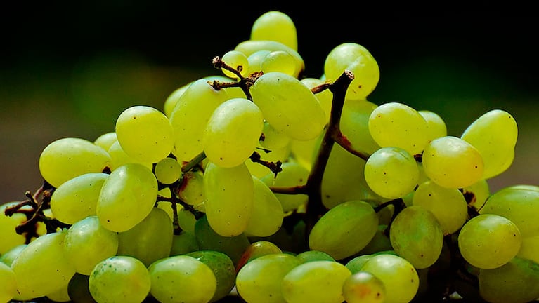 La tradición de las 12 uvas está muy difundida en el mundo, pero tiene riesgos.