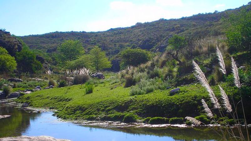 La tranquilidad de la zona se vio sacudida por un movimiento sísmico.