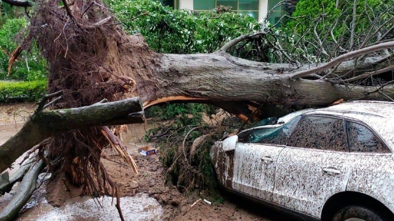 La tromba causó innumerables destrozos en toda la ciudad.