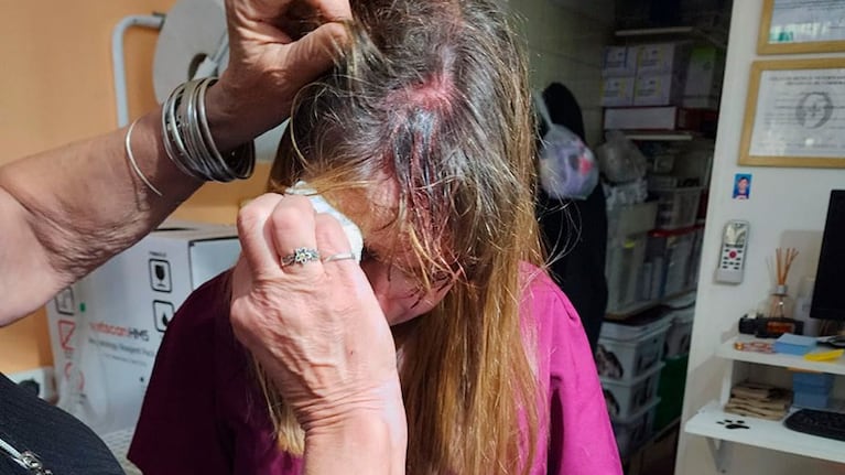 La veterinaria golpeada con una tenaza.