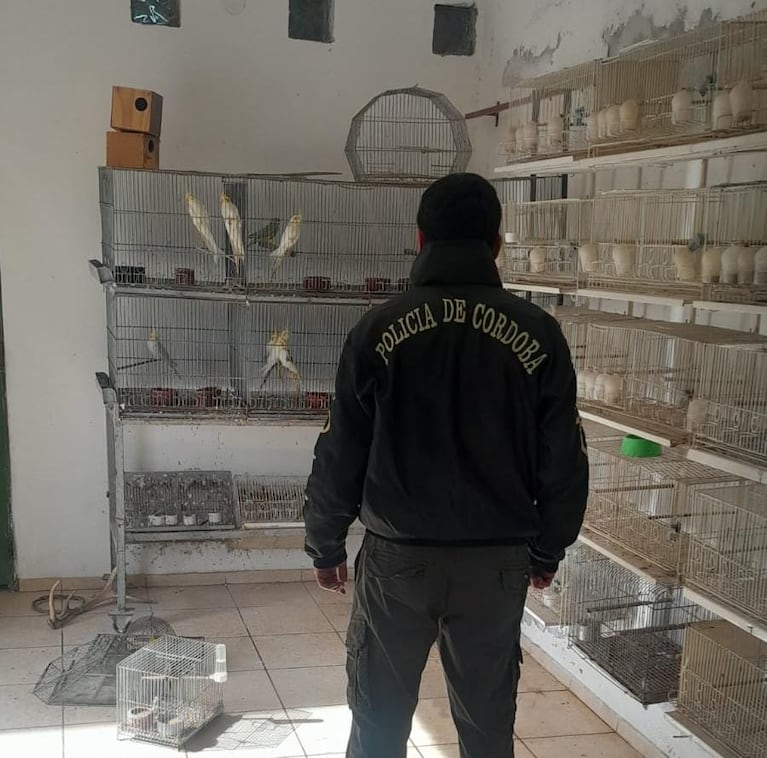 La veterinaria ilegal funcionaba en Villa Unión.