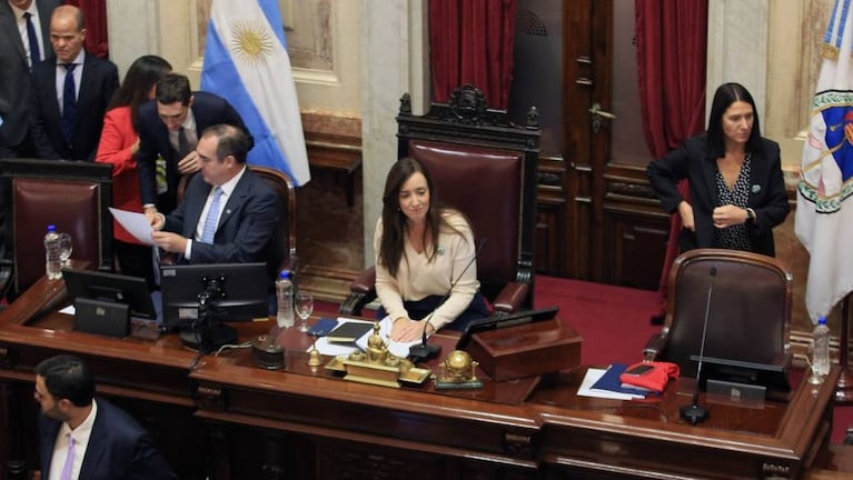 La vicepresidenta Victoria Villarruel celebró los dictámenes.