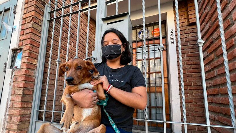 La víctima con su perro herido. Foto: Andrés Ferreyra/El Doce.