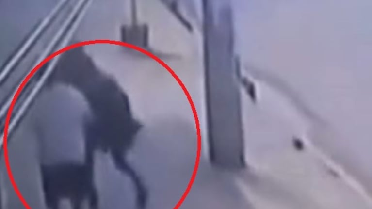 La víctima ni siquiera se resistió.