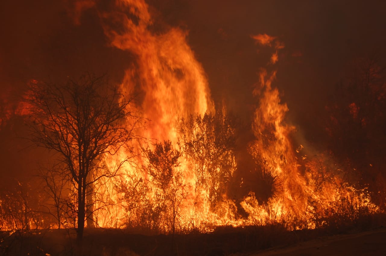 La virgen apareció en una zona arrasada por el fuego.