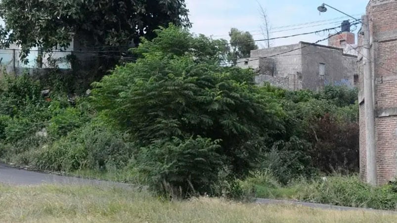 La zona donde encontraron restos humanos de un hombre de Malvinas Argentinas.