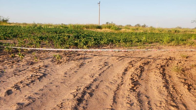 La zona donde hallaron asesinada a la joven de Despeñaderos. Foto: Julieta Pelayo/El Doce.