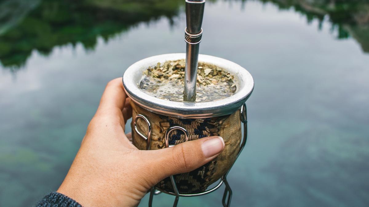 La zona en la que se cosecha la yerba es uno de los aspectos fundamentales.