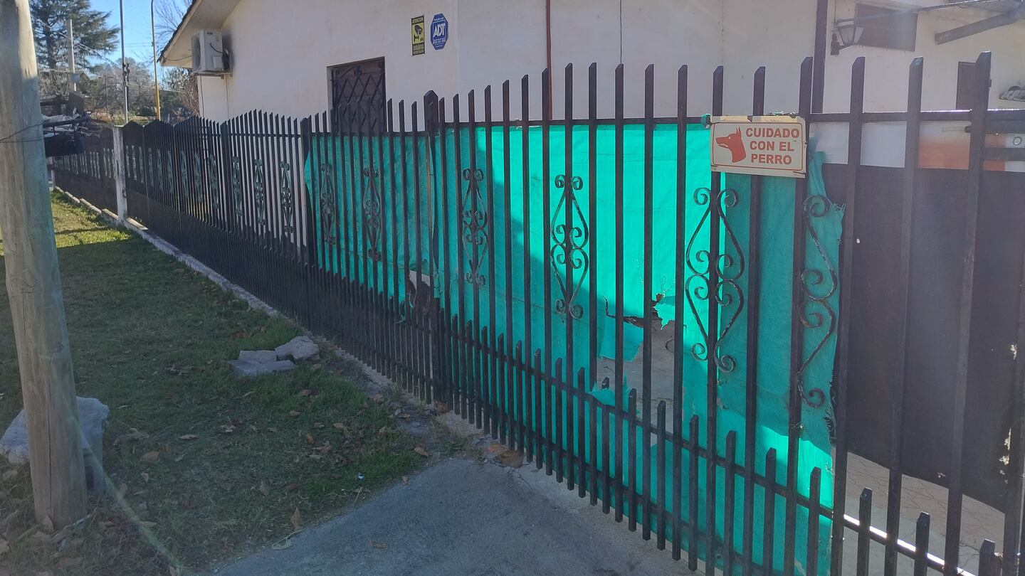 Ladrón atacado perros pitbull