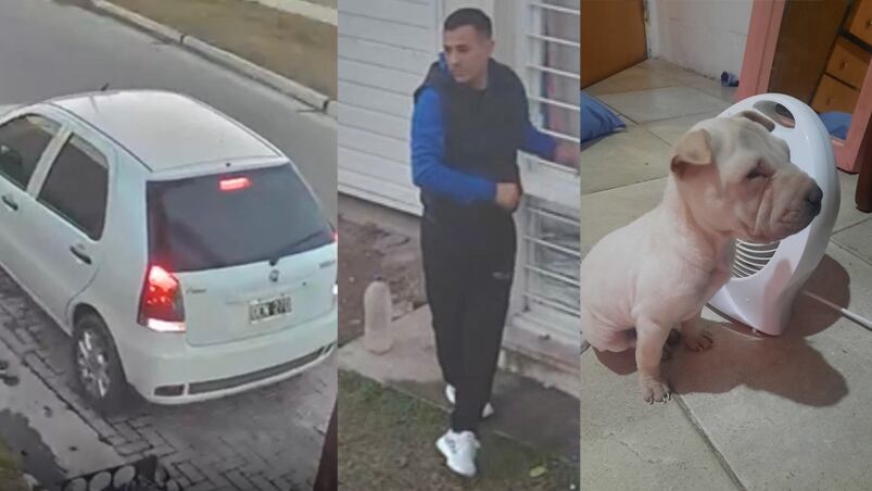 Ladrones le entraron a la casa y le robaron hasta el perro.