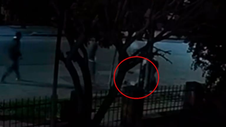Ladrones pirañas atacaron a dos jóvenes en la madrugada del sábado.