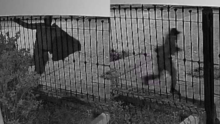 Ladrones trepan techos para robar en barrio Talleres.