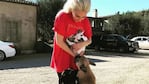 Lady Gaga junto a sus tres mascotas bulldog francés.