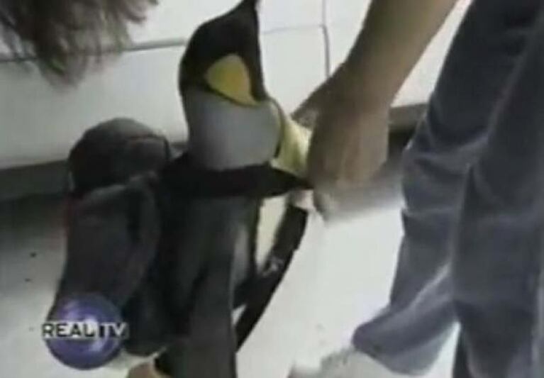 Lala, la tierna pingüina que hace las compras en la pescadería